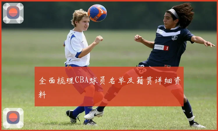 全面梳理CBA球员名单及籍贯详细资料