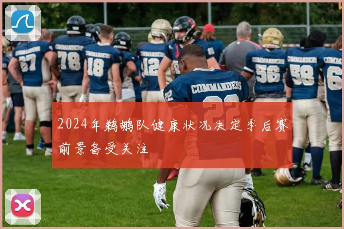 2024年鹈鹕队健康状况决定季后赛前景备受关注