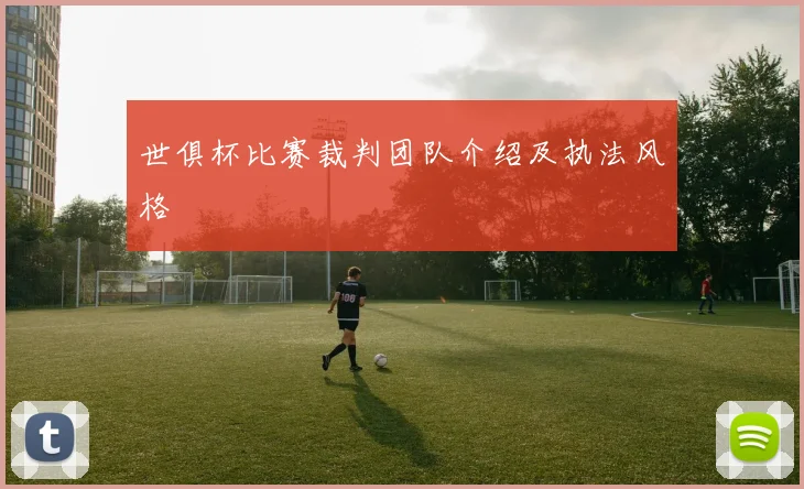 世俱杯比赛裁判团队介绍及执法风格