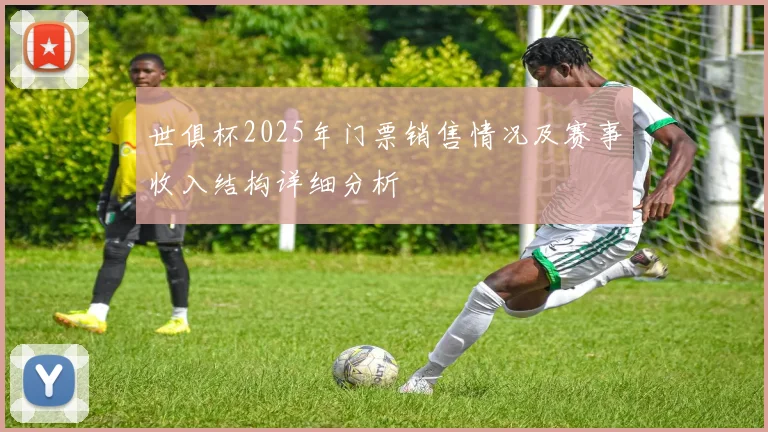 世俱杯2025年门票销售情况及赛事收入结构详细分析